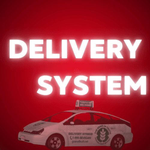 Delivery System
