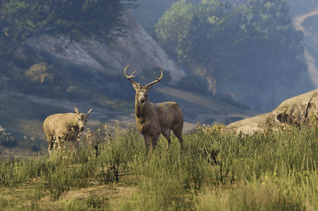 Animal Spawn Zones