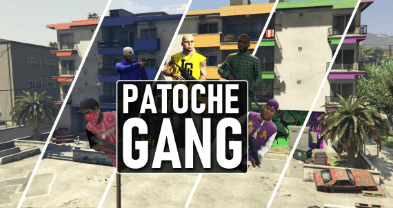 Patoche gang ( vagos , ballas , families , or other )