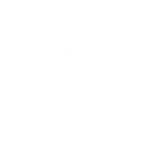 Dipzzy Store logo